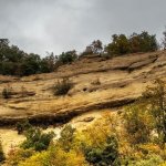 Fronte roccioso del Contrafforte pliocenico | Archivio Ente Parchi Emilia Orientale – Foto Daria Victorini
